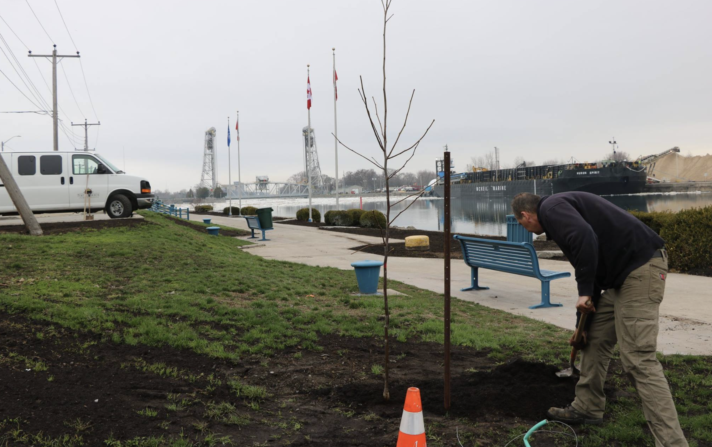 Tree planting